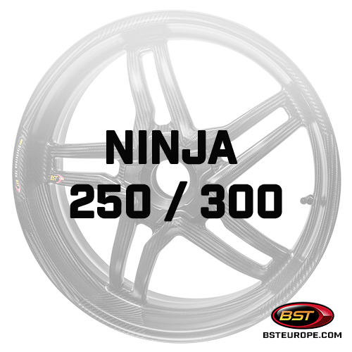 Ninja-250-300.jpg