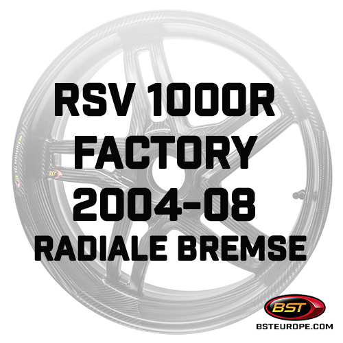 RSV-1000R-Factory-2004-08-Radiale-Bremse.jpg