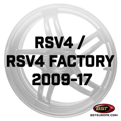 RSV4-RSV4-Factory-2009-17.jpg