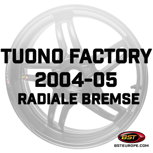 Tuono-Factory-2005-05-radiale-Bremse.jpg