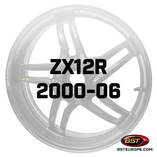 ZX12R-2000-06.jpg